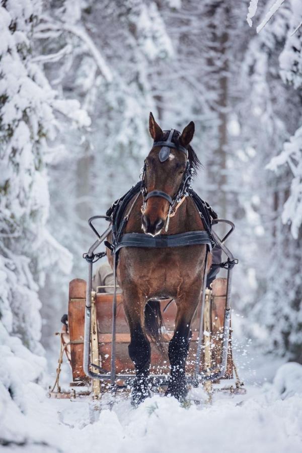 Evita - 'virs Azuolu' - Forest - Horses - * Paplatele
